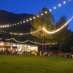 Adrasan Forest Camping Kamp Alani 3